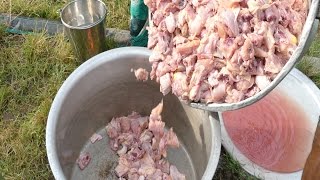 CHICKEN FRY CURRY MAKING FOR 500 NUMBERS  100KGS CHICKEN RECIPE  PARTY RECIPES street food [upl. by Elay]