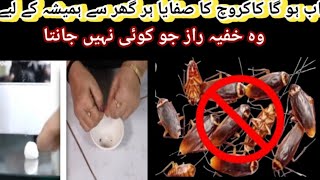 Safe And Effective Way To Kill CockroachesRemedies To Get Rid Of CockroachesKitchen Safe Remedy [upl. by Concepcion]