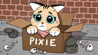 The Past of Pixie [upl. by Sillsby354]