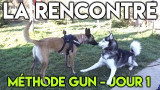 KENNY LE HUSKY À LA METHODE GUN  Méthode Gun  Jour 1 [upl. by Aiciled]