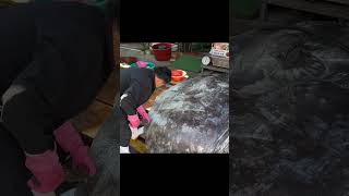 street food asmr food fish cutting korean food asian seafood sashimi making video shorts 051122 3 [upl. by Noami672]