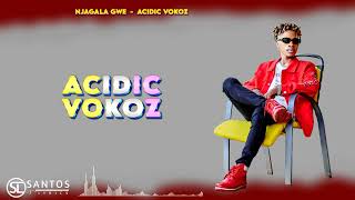 Acidic Vokoz  Njagala Gwe Official Lyrics Video [upl. by Gisela559]