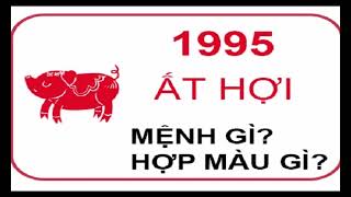 Ất Hợi sinh năm 1995 mệnh gì cung gì tuổi con gì [upl. by Eetnuahs]