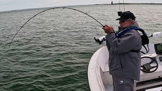 Savage Jig Fishing Bite  Bass and Weakfish  Scary Miscommunication [upl. by Elgar]