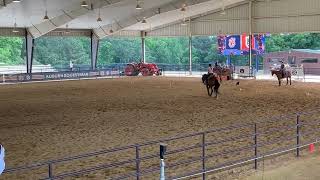 Auburn University  Spring 2024 Equestrian Clinic  Mallory Kirby [upl. by Mogerly]