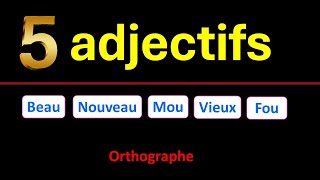 Accord des 5 adjectif qui ont deux formes différentes au masculin  euphonie [upl. by Eindys]