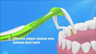 Wisdom Toothbrushes how to use key Interdental products [upl. by Lien463]