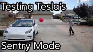 Does Teslas Sentry Mode Work [upl. by Hahcim]