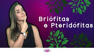 BRIÃ“FITAS E PTERIDÃ“FITAS  BOTÃ‚NICA  Prof Louise Medeiros [upl. by Ydoj]