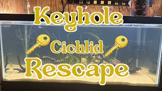 Keyhole Cichlid Tank Rescape [upl. by Zetta]