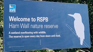 RSPB Ham Wall and Shapwick Heath Somerset [upl. by Yrrum]