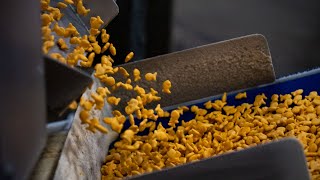 This Denver PA factory makes 55 million pounds Goldfish crackers a year [upl. by Philips]