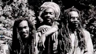 Israel Vibration  Greedy Dog  Live [upl. by Stanwood]