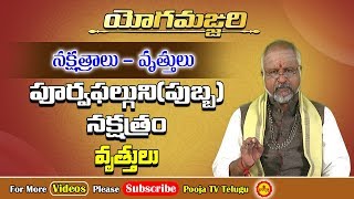 పుబ్బ నక్షత్రం విశిష్ఠత  Pubba Nakshatram  Yoga Manjari  Pooja Tv Telugu [upl. by Ihel]