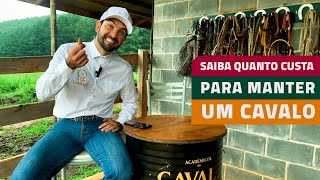 SAIBA QUANTO CUSTA PARA MANTER UM CAVALO [upl. by Annaik575]