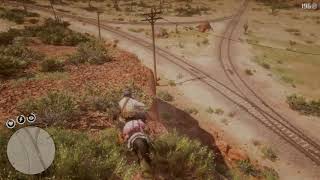 Red Dead Redemption 2  Rio Grande Wild Turkey location [upl. by Hubsher43]