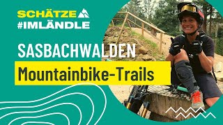 Sasbachwalden MountainbikeTrail [upl. by Laughry]