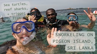 Video diaries 3 Snorkeling on Pigeon Island in Sri Lanka [upl. by Clarice]