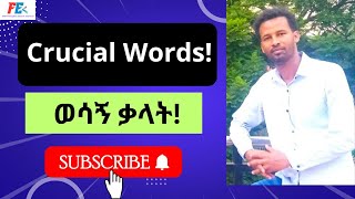 English  Amharic Lesson 04 Vocabulary [upl. by Seira]