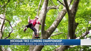 Michigan Tree Climbing Competition [upl. by Jecon774]