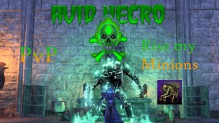 ESO Necromancer PvP Build  The Summoner U41 [upl. by Atinej]