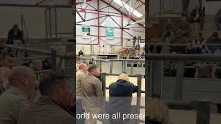 Louth Cattle Market Autumn cattle Auction Part 2 [upl. by Honeyman860]