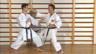 Karaté  cours 3  techniques de poing tsuki waza [upl. by Susej]