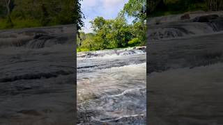 Coorg waterfalls 💕 nature trending youtubeshorts [upl. by Ihpen]