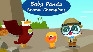 Baby Panda Animal Champions  Meet the Animals in the Sky on Land and in the Sea  BabyBus Games [upl. by Idnam]