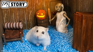 Homura Hams Hamsters vs Granny in the Haunted House for Halloween [upl. by Joya]