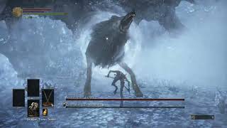 Dark Souls III  Champions Gravetender and Gravetender Greatwolf  No Hit [upl. by Esinyt]