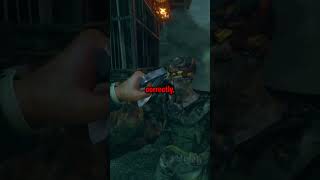 Craziest Glitch in CoD Zombies [upl. by Malissa891]