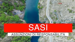 Sasi assunzioni di responsabilità [upl. by Allerym]