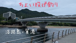 【淡路島・翼港】7月2日のチョイ投げ釣りが最高だった日❗❗ [upl. by Aneda775]