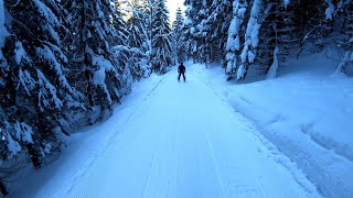 Kasprowy Wierch zjazd nartostradą do samego Zakopanego 20190121 [upl. by Felicie]