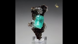 21151  ADAMITE var CUPRIAN ADAMITE CALCITE Ojuela Mine Mexico [upl. by Ainer]