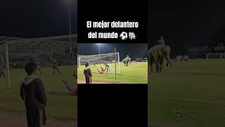 El mejor delantero ⚽ shorts futbol peru football tendencias ultimominuto golazo fyp fy [upl. by Obau477]