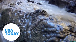 Endangered Devils Hole pupfish shaken by a 70 magnitude earthquake  USA TODAY [upl. by Silvain]