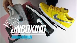 Nike SB Diamond Dunk Unboxing  Review [upl. by Yanad]