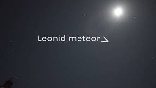 Leonid meteor  17 November 2024 [upl. by Kos]