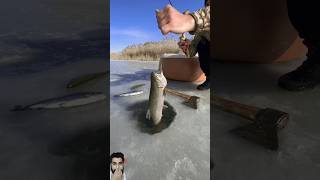 Fishing and Cooking in the Snow fishing icefishing outdoors cooking [upl. by Kcod]