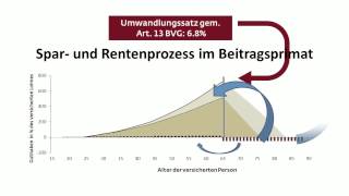 Der Unterschied zwischen Beitragsprimat und Leistungsprimat [upl. by Dunkin]