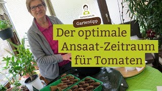 Wann Tomaten ansäen Der richtige AussaatZeitpunkt [upl. by Siuqcram]