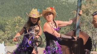 Cumberland Gap  The Hillbilly Goats official video [upl. by Ihcego]