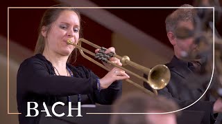 Bach  Easter Oratorio Kommt eilet und laufet BWV 249  Van Veldhoven  Netherlands Bach Society [upl. by Giusto523]