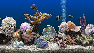 Marine Aquarium Screensaver 4K UHD [upl. by Renmus]