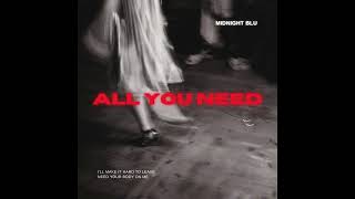 All You Need  Midnight Blu Official Audio [upl. by Stuart]