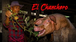 EL CHANCHERO  Cuentos y Leyendas de Honduras [upl. by Akeimahs]