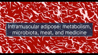 Intramuscular fat is a critical factor in both the quality of farm animal meat and in humans [upl. by Marquez]