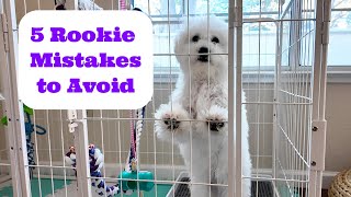 5 Rookie Puppy Mistakes We Learned the Hard Way [upl. by Yahsed]